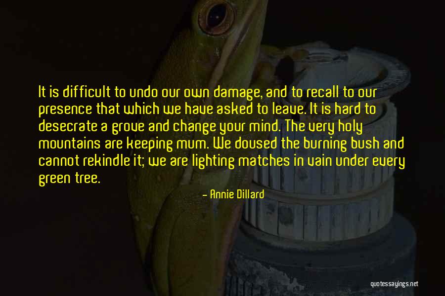 Lighting Each Other Quotes By Annie Dillard Lighting Each Other Quotes By Annie Dillard