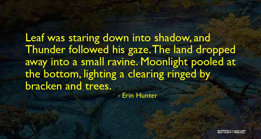 Lighting Each Other Quotes By Erin Hunter Lighting Each Other Quotes By Erin Hunter