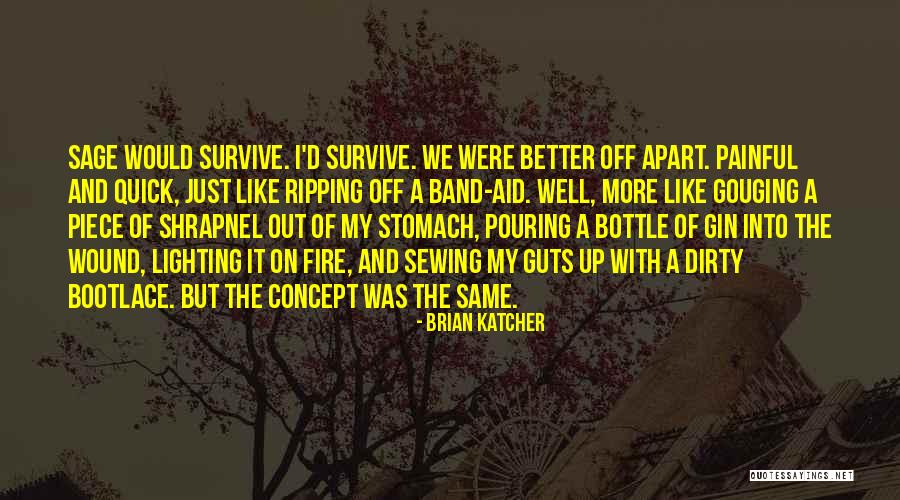Lighting The Fire Quotes By Brian Katcher Lighting The Fire Quotes By Brian Katcher