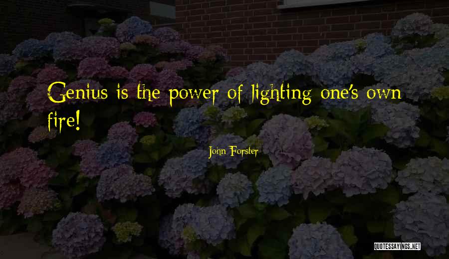 Lighting The Fire Quotes By John Forster Lighting The Fire Quotes By John Forster