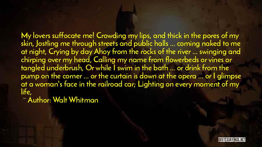 Lighting Up The Night Quotes By Walt Whitman