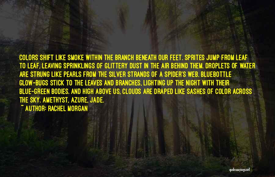 Lighting Up The Sky Quotes By Rachel Morgan