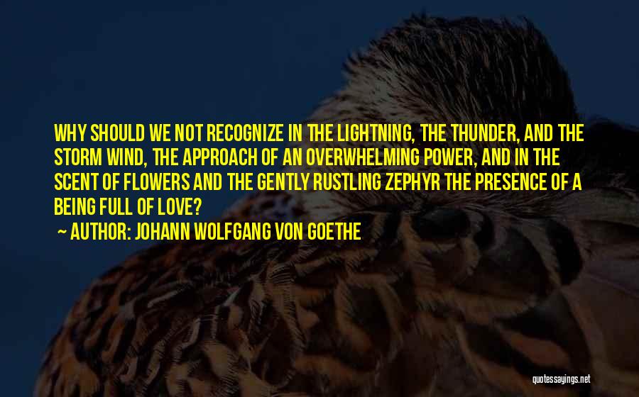 Lightning And Love Quotes By Johann Wolfgang Von Goethe