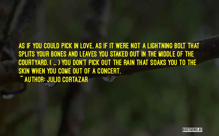 Lightning And Love Quotes By Julio Cortazar