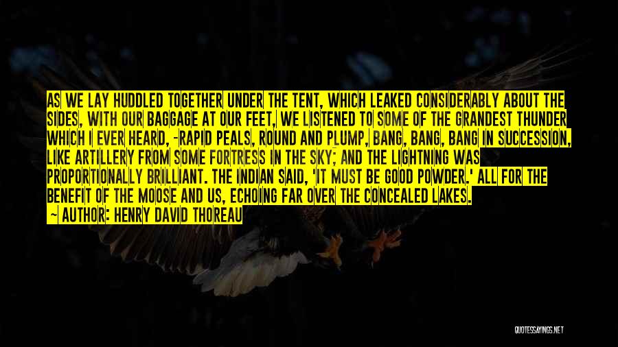 Lightning And Thunder Quotes By Henry David Thoreau