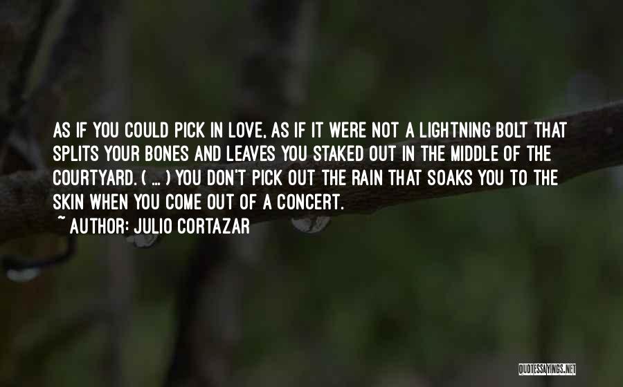 Lightning Bolt Love Quotes By Julio Cortazar