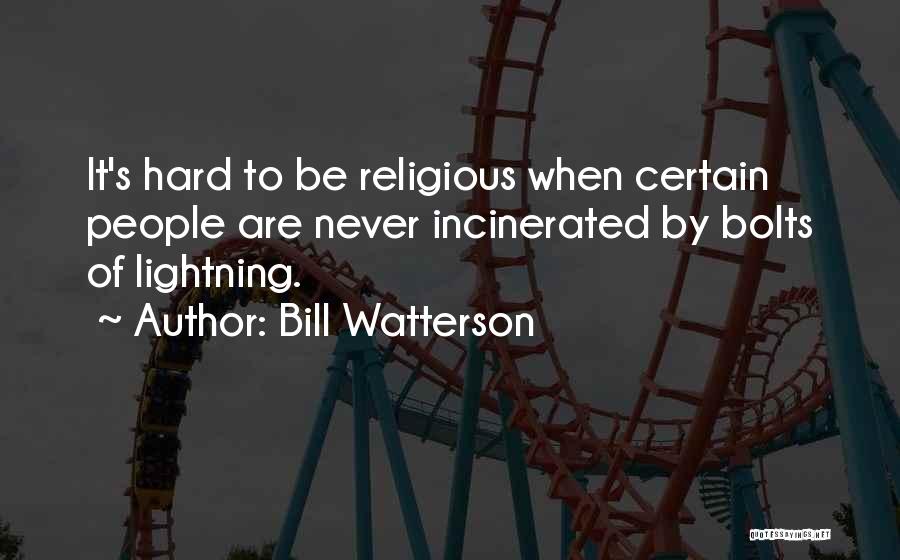 Lightning Bolts Quotes By Bill Watterson