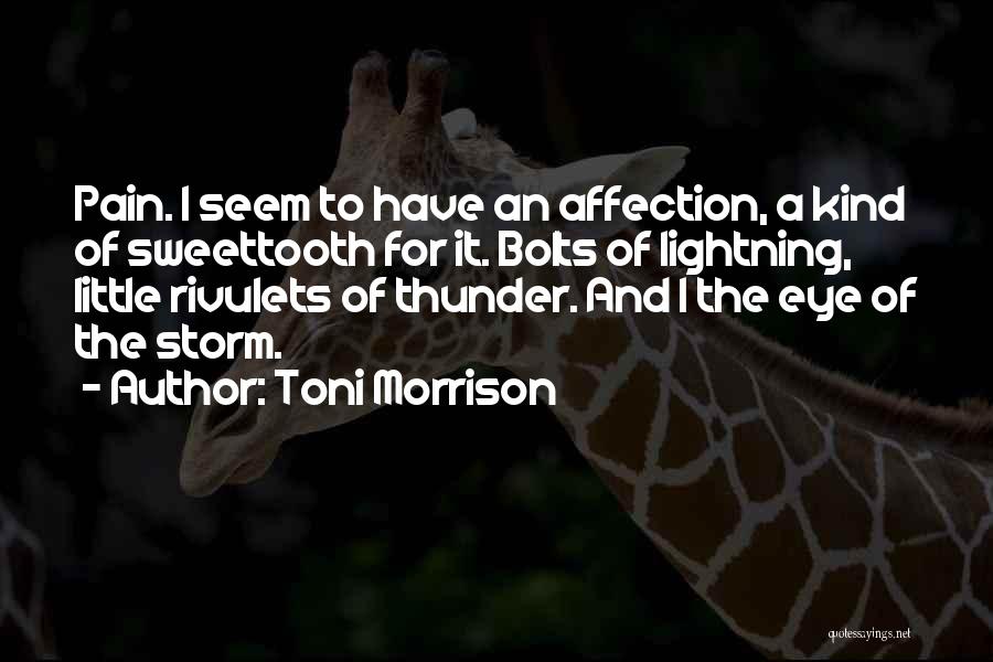 Lightning Bolts Quotes By Toni Morrison