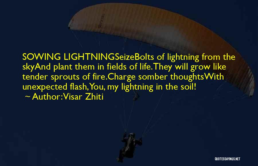 Lightning Bolts Quotes By Visar Zhiti