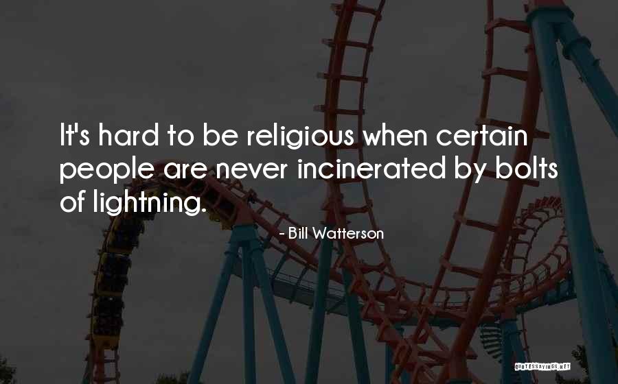 Lightning People Quotes By Bill Watterson Lightning People Quotes By Bill Watterson