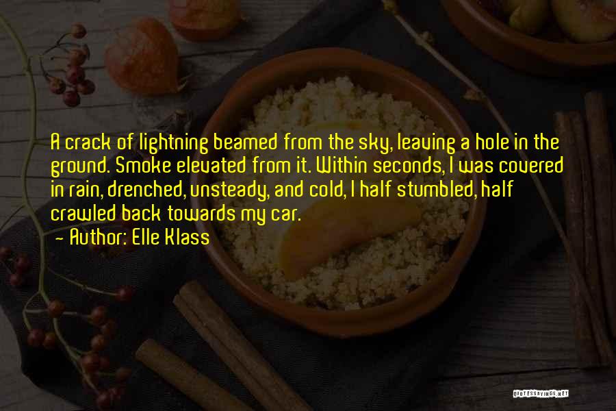 Lightning Quotes By Elle Klass