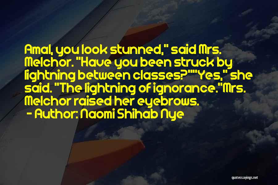 Lightning Quotes By Naomi Shihab Nye
