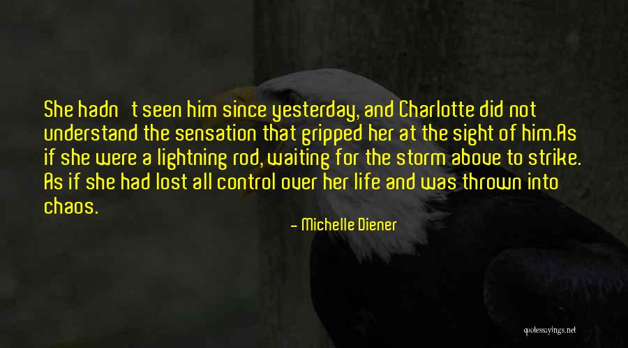 Lightning Rod Quotes By Michelle Diener Lightning Rod Quotes By Michelle Diener