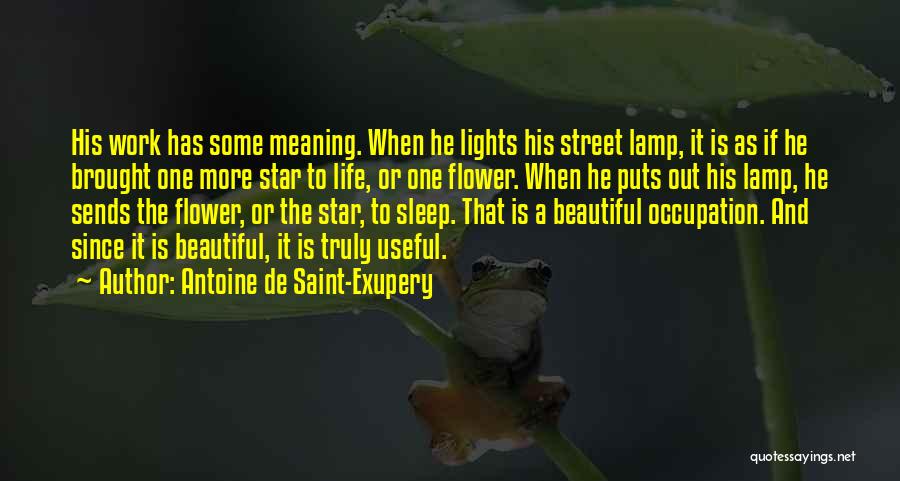 Lights And Life Quotes By Antoine De Saint-Exupery