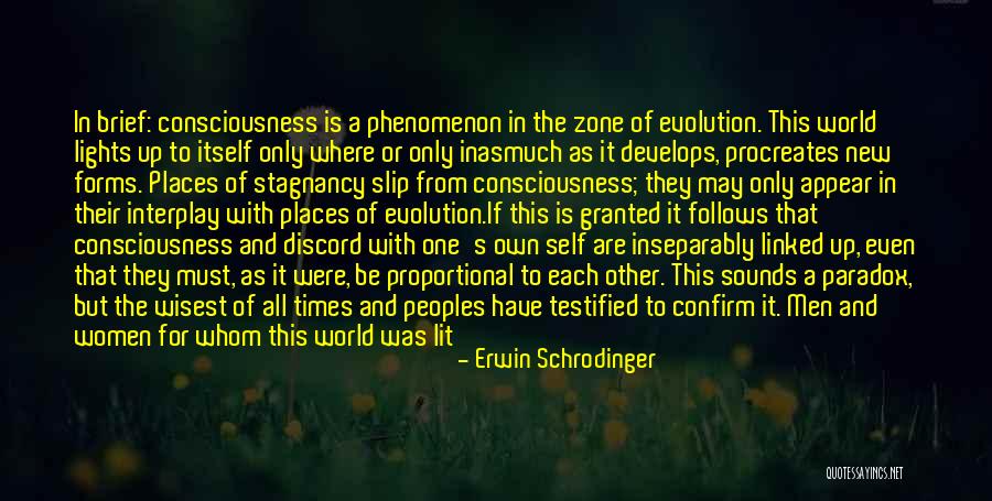 Lights And Sounds Quotes By Erwin Schrodinger