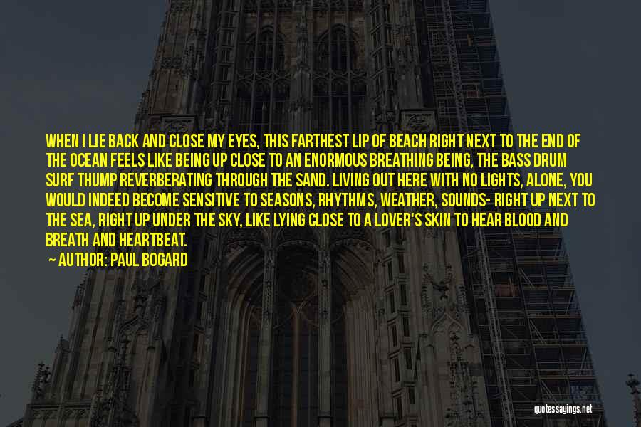 Lights And Sounds Quotes By Paul Bogard
