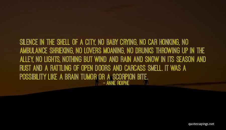 Lights In The City Quotes By Anne Roiphe Lights In The City Quotes By Anne Roiphe