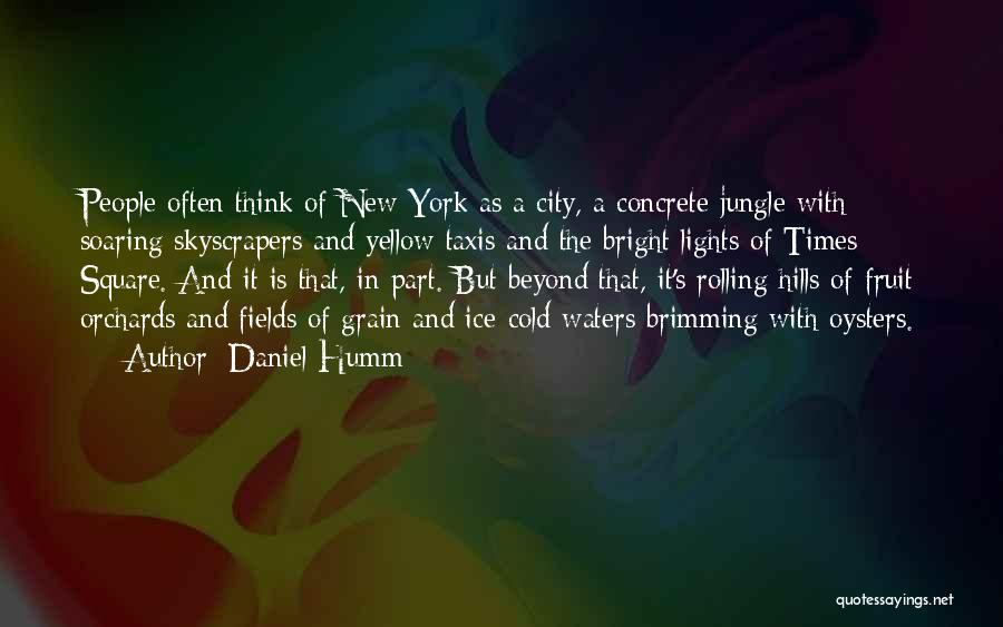 Lights In The City Quotes By Daniel Humm