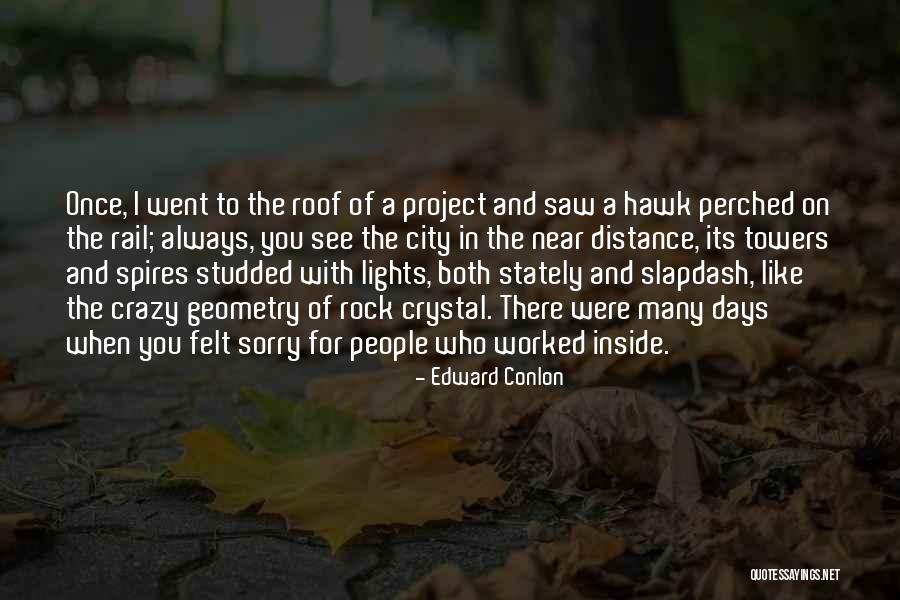 Lights In The City Quotes By Edward Conlon