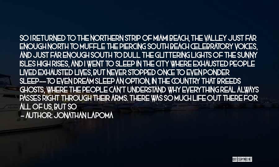 Lights In The City Quotes By Jonathan LaPoma