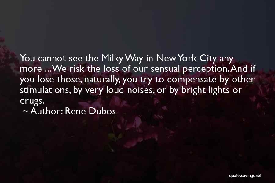 Lights In The City Quotes By Rene Dubos