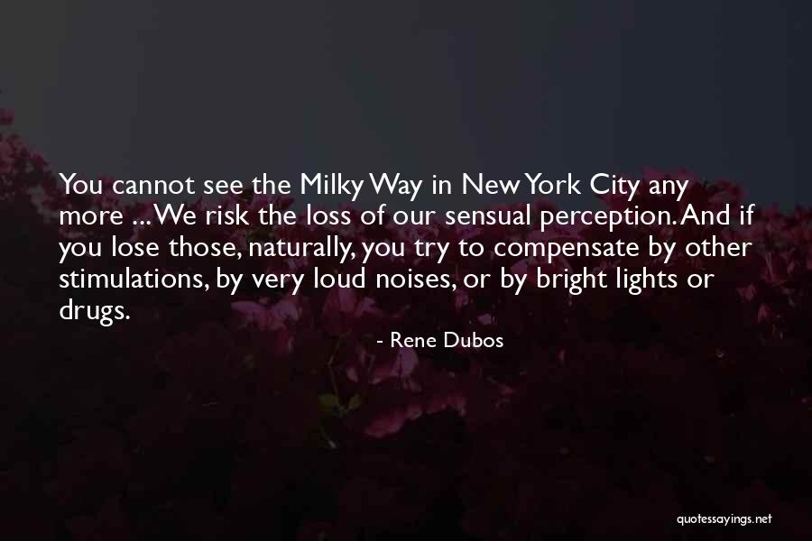 Lights In The City Quotes By Rene Dubos