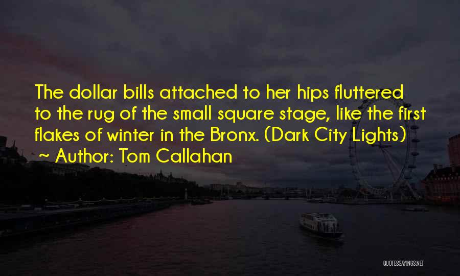 Lights In The City Quotes By Tom Callahan