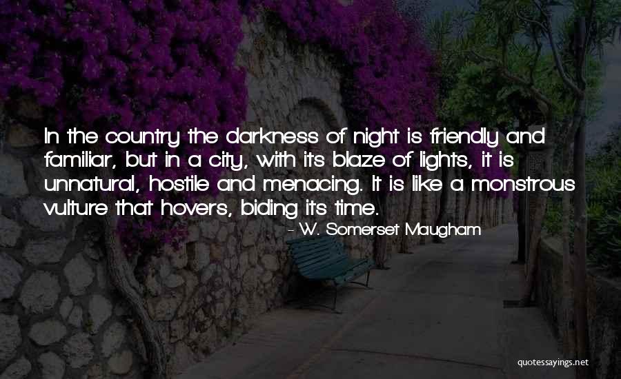 Lights In The City Quotes By W. Somerset Maugham