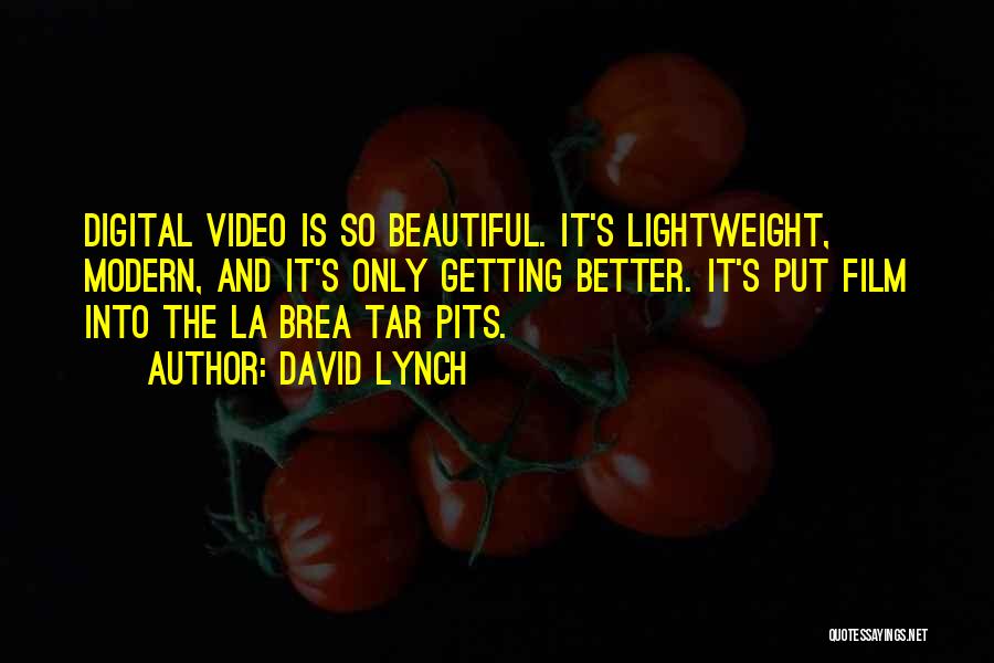 Lightweight Quotes By David Lynch