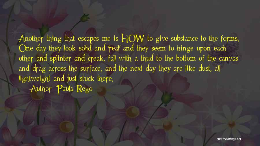 Lightweight Quotes By Paula Rego