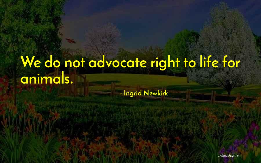 Lightwing Skylanders Quotes By Ingrid Newkirk Lightwing Skylanders Quotes By Ingrid Newkirk