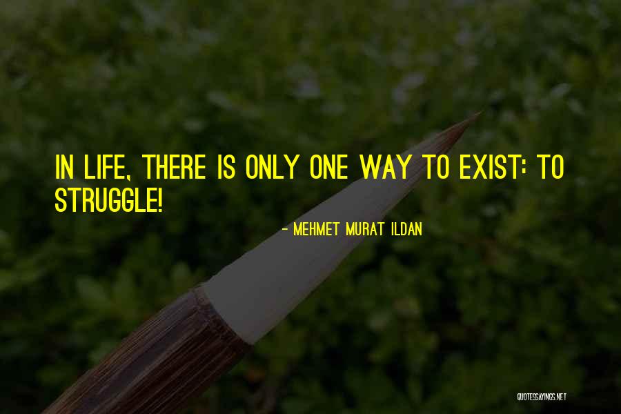 Ligier F1 Quotes By Mehmet Murat Ildan