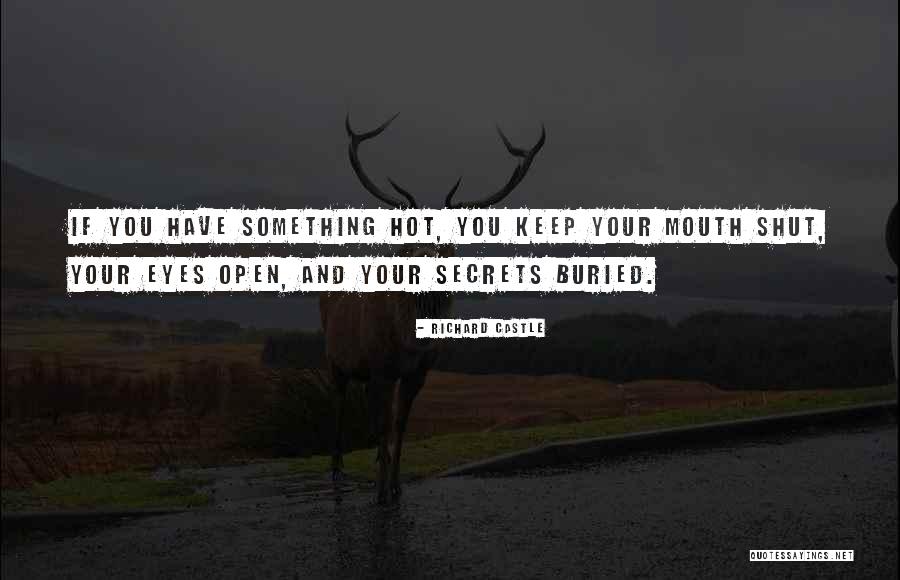 Lignieres Quotes By Richard Castle Lignieres Quotes By Richard Castle