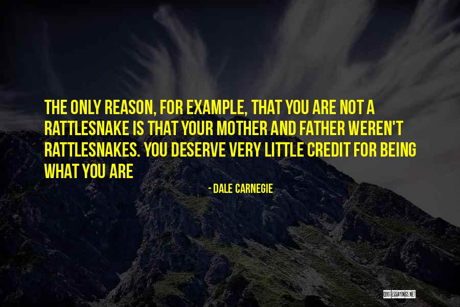 Liiceanu Si Quotes By Dale Carnegie Liiceanu Si Quotes By Dale Carnegie
