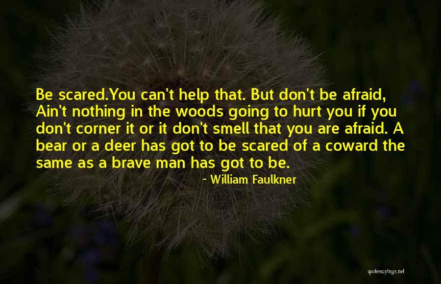 Lijepe Quotes By William Faulkner Lijepe Quotes By William Faulkner