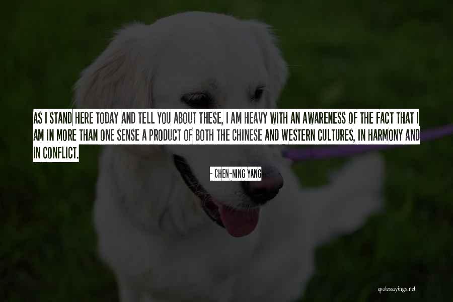 Lik Usa Quotes By Chen-Ning Yang Lik Usa Quotes By Chen-Ning Yang