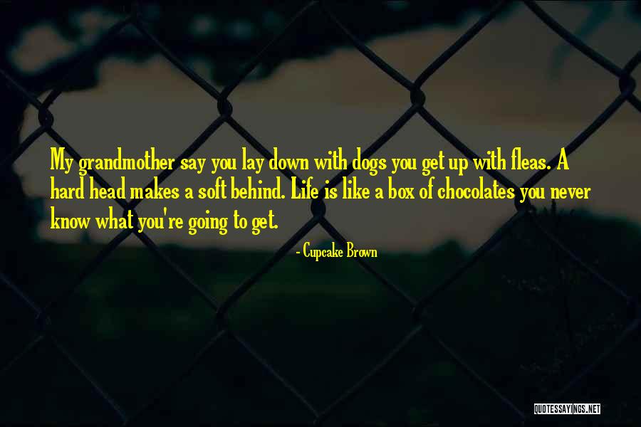 Like A Box Of Chocolates Quotes By Cupcake Brown