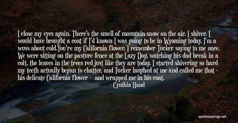 Like A Dad To Me Quotes By Cynthia Hand Like A Dad To Me Quotes By Cynthia Hand