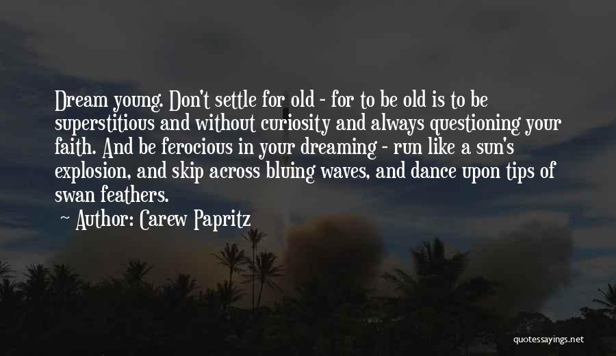 Like A Dream Quotes By Carew Papritz