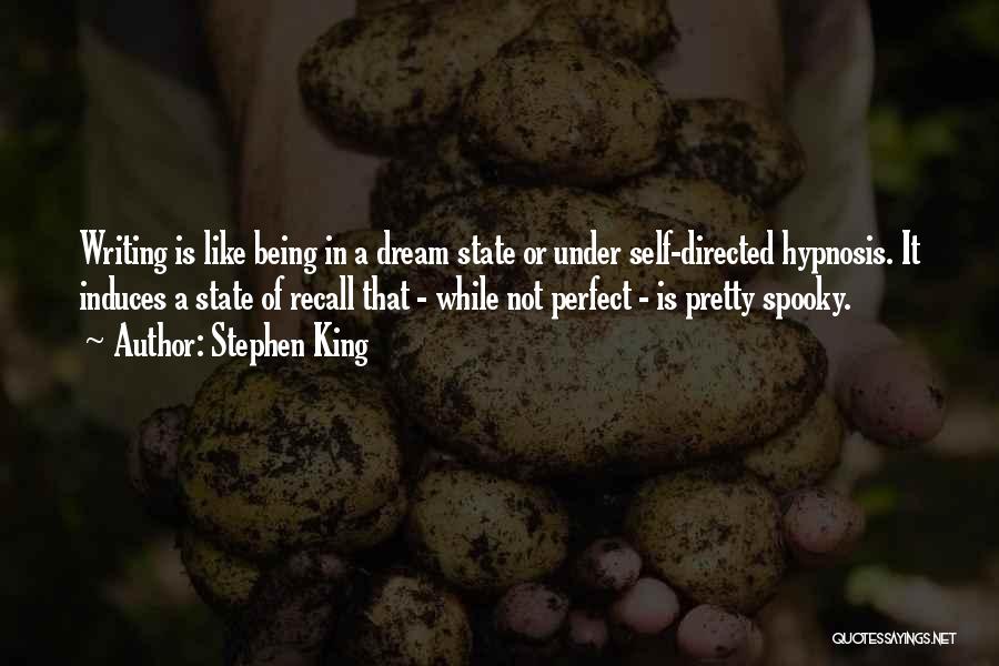 Like A Dream Quotes By Stephen King