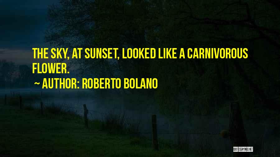 Like A Flower Quotes By Roberto Bolano