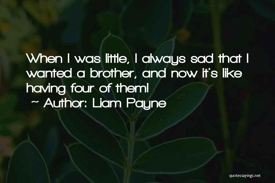 Like A Little Brother Quotes By Liam Payne