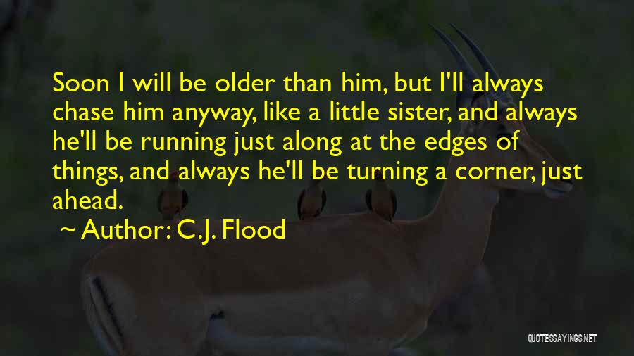 Like A Little Sister Quotes By C.J. Flood