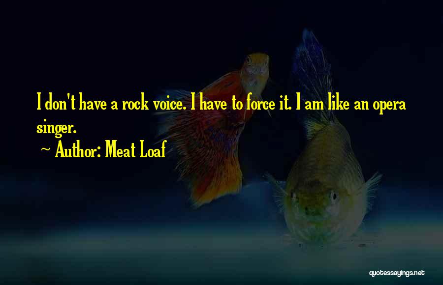 Like A Rock Quotes By Meat Loaf