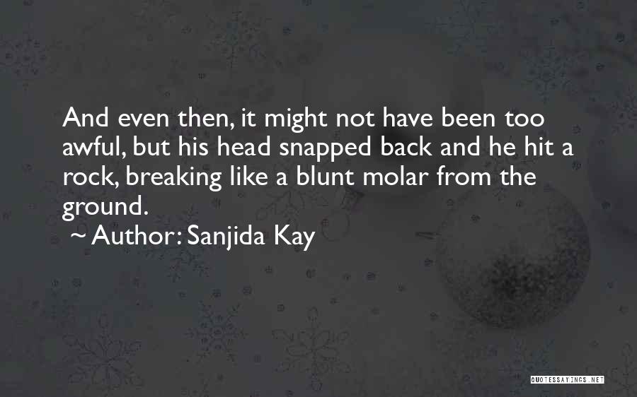 Like A Rock Quotes By Sanjida Kay