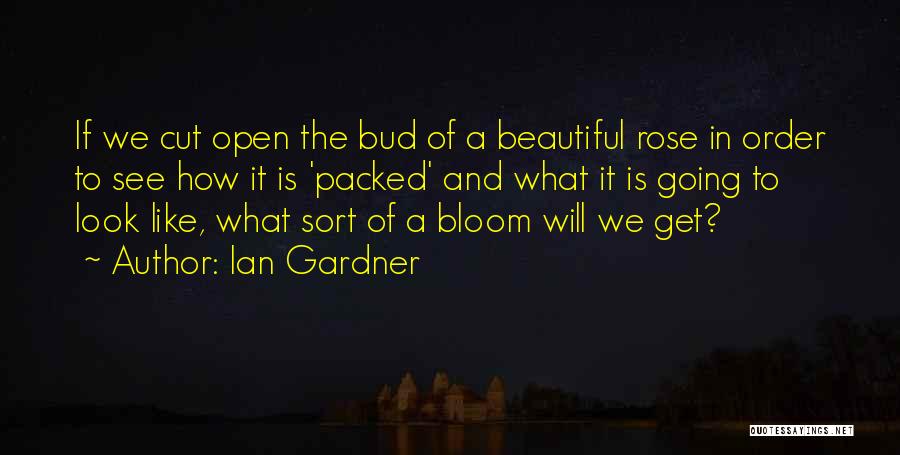 Like A Rose Quotes By Ian Gardner