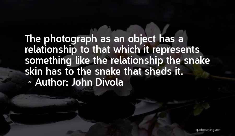 Like A Snake Quotes By John Divola