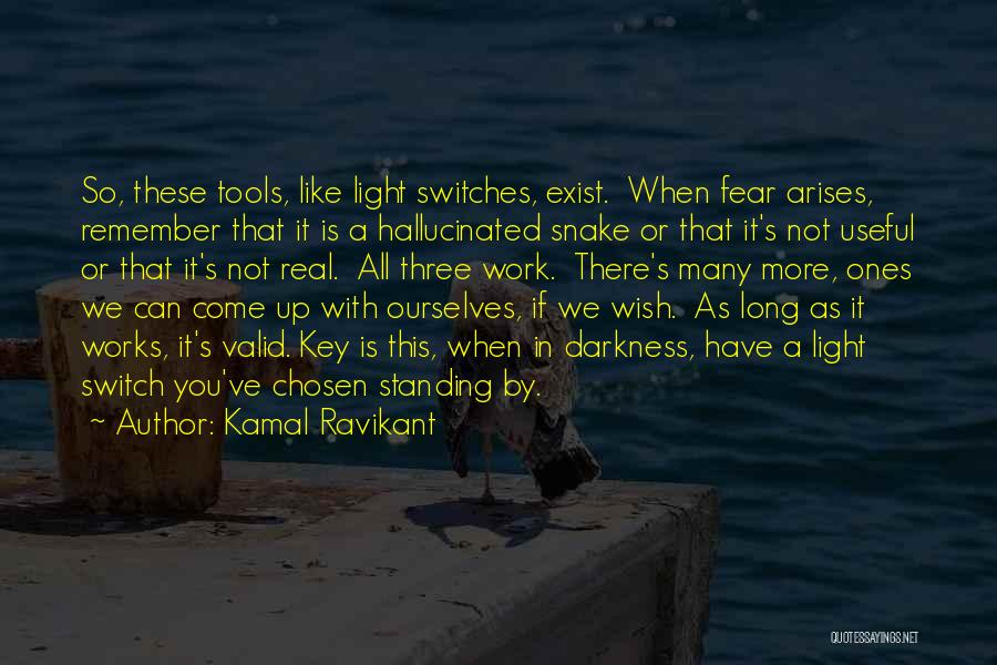 Like A Snake Quotes By Kamal Ravikant