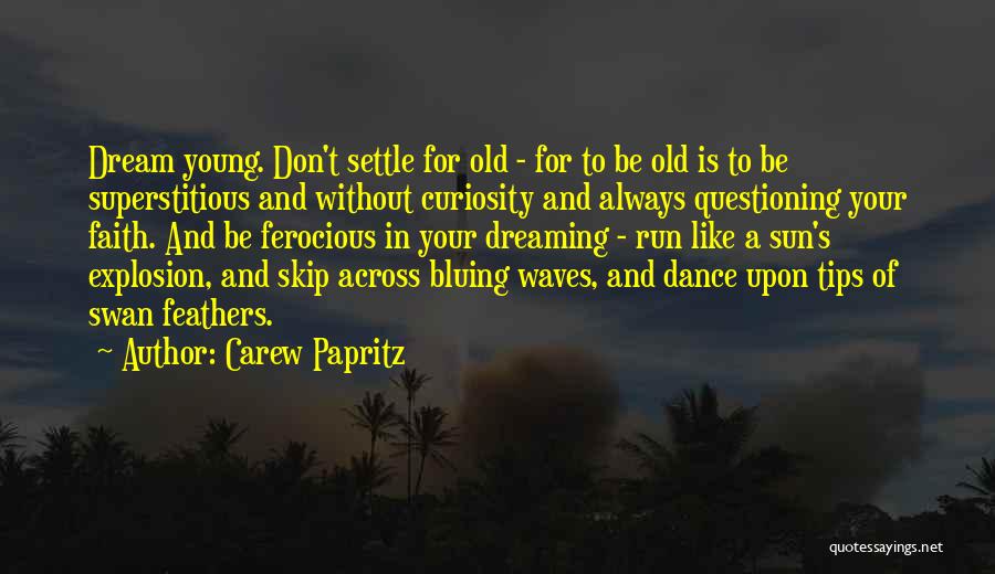 Like A Swan Quotes By Carew Papritz