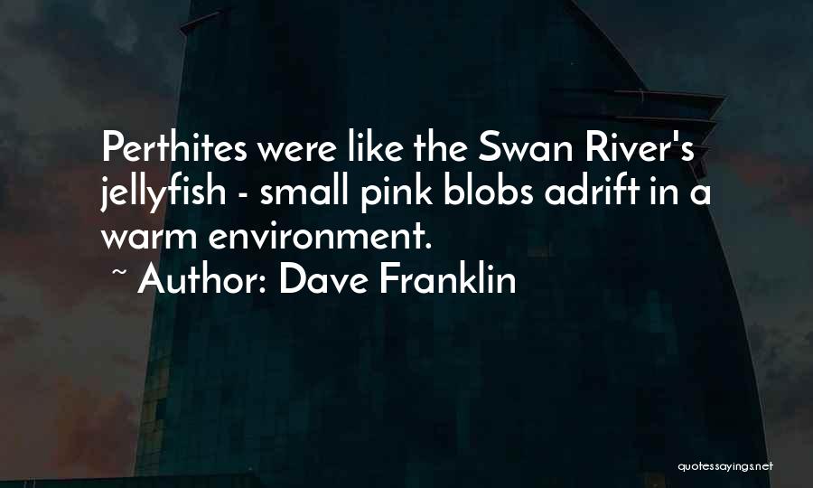 Like A Swan Quotes By Dave Franklin